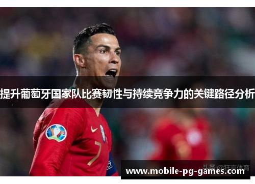 提升葡萄牙国家队比赛韧性与持续竞争力的关键路径分析 提升葡萄牙国家队比赛韧性与持续竞争力的关键路径分析