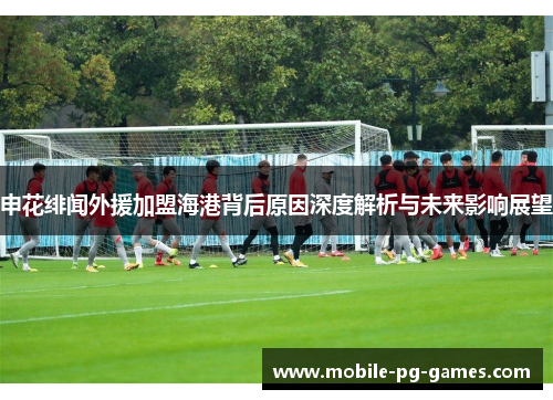 申花绯闻外援加盟海港背后原因深度解析与未来影响展望